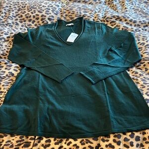 Green V-Neck Long Sleeve Top